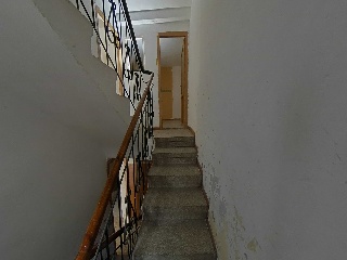 Palafox 13