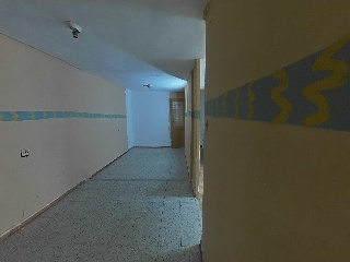 Palafox 14