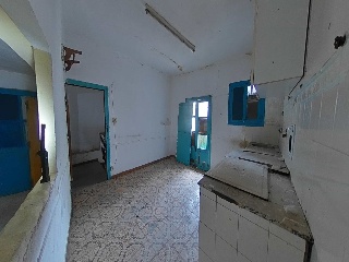 Palafox 29