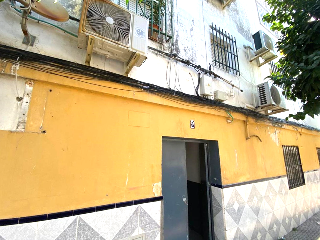 Cedro 2