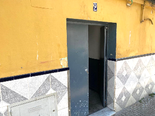 Cedro 3