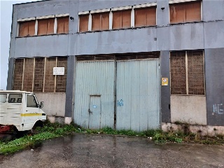 CAMPONES 6