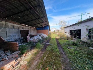 CAMPONES 11