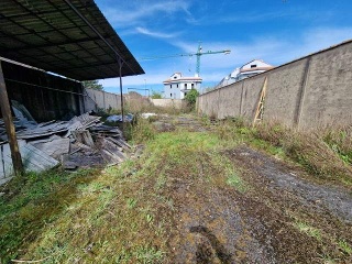 CAMPONES 12