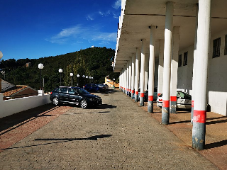LAS ABEJERAS 7
