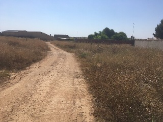CALVARIO 7