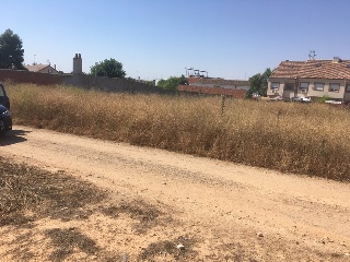 CALVARIO 8