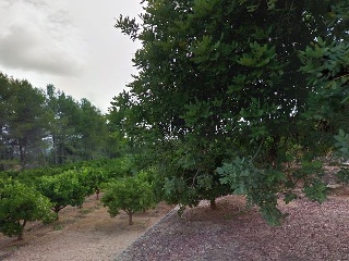 Finca rústica con edificación en Pd Afueras Caderons, Canals (Valencia) 2