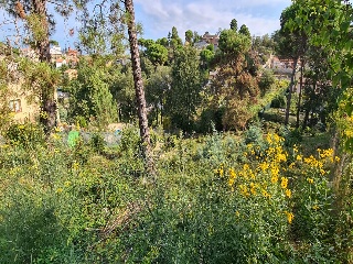 Suelo en Maçanet de la Selva - Girona - 3
