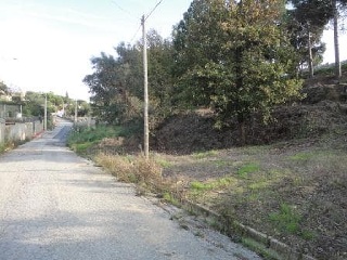 Suelo en Maçanet de la Selva - Girona - 12