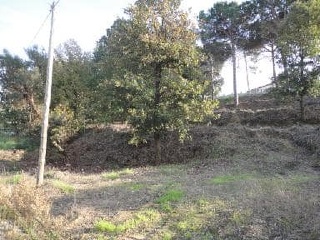 Suelo en Maçanet de la Selva - Girona - 14