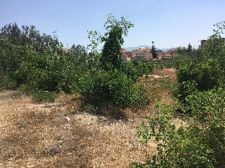 Suelo situado en Alhama de Murcia 2