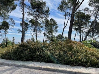 Suelo situado en Torre de Claramunt 2