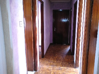 Colon 10