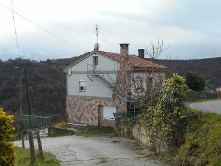 Suares 11