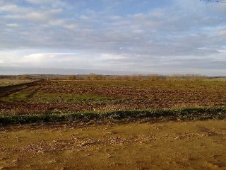 Vegas De San Benito 9