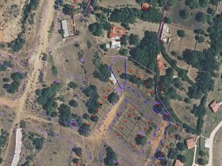 Finca Condesa 2