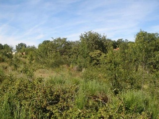 Finca Condesa 3