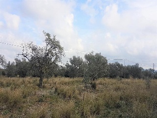 Tv-3319 3