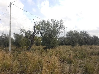 Tv-3319 5