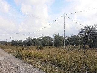 Tv-3319 8