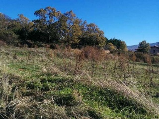 Finca Condesa 3