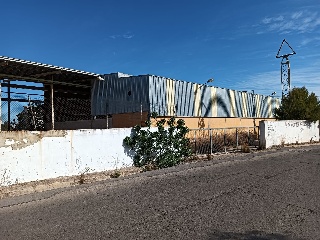 Olivera Solana 3