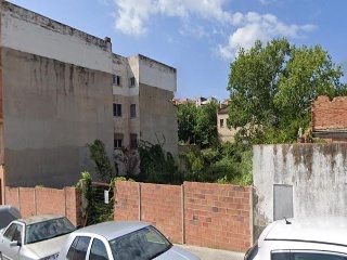 Bosc (Del) 3
