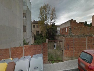 Bosc (Del) 4