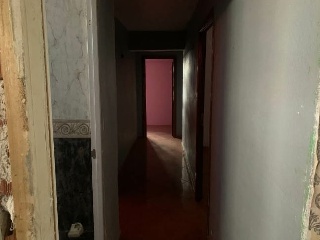 Pinazo 6