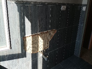 Del Molino 6