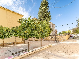 Pisos banco Linares