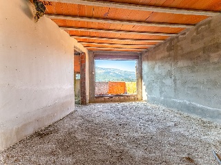 Pedreguera 7
