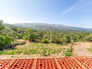 Pedreguera 29