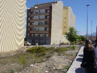 Alegría 8