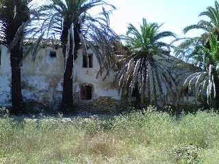 Ramon Llull 2