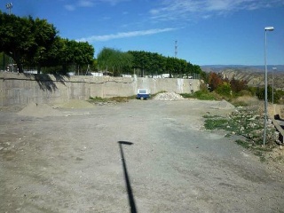 Almazara 2