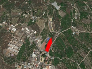 Almazara 4