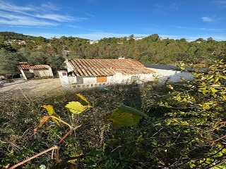 Espígol 13