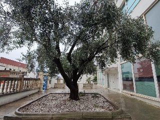 Carrer Dels Moliners 5