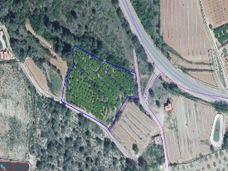 Partida Llano (Del) 2