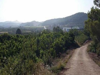 Partida Llano (Del) 3
