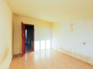 Mayor 12