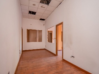 Gallego 7