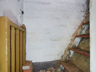 Sant Isidre 15