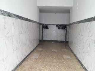 Constantino 4