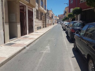 Palmeras (Las) 3