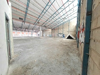 Varsovia 7