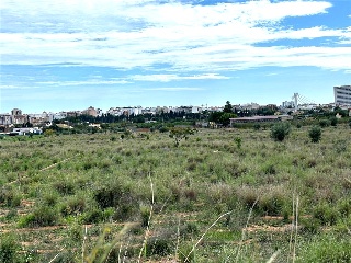 Partida Mestrets 4