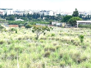 Partida Mestrets 5